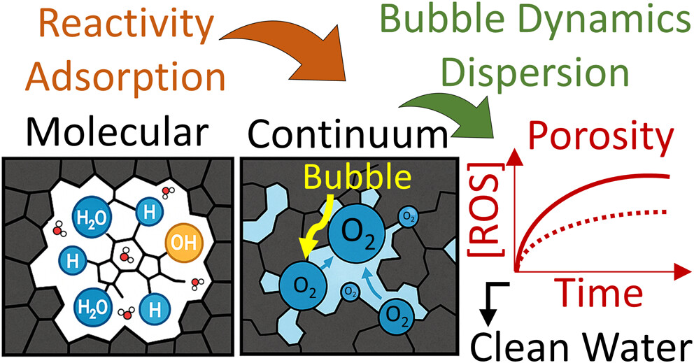 Multiscale schematic of molecular adsorption, continuum transport, bubble dynamics, and porosity-controlled ROS evolution leading to clean water.